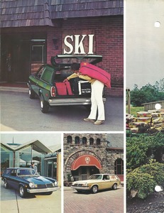 1974 Chevrolet Vega Panel Express-04.jpg